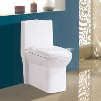 two piece floor mounted water closet,toilet types of water closet,squatting pan water closet